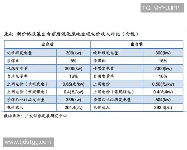 南京排球队实力深度解析与对比分析报告